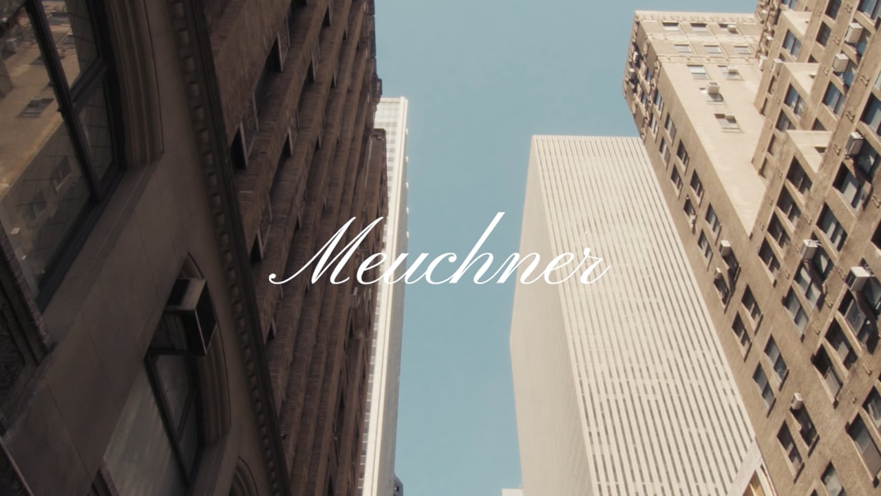Meuchner preview frame